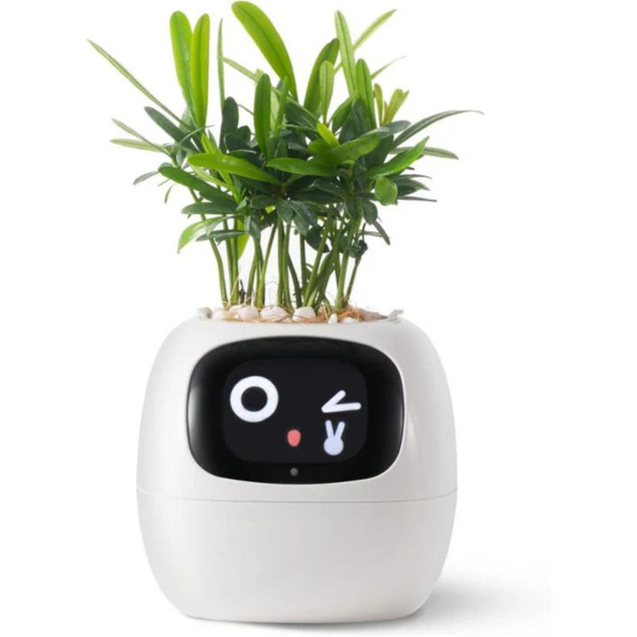 "Interactive AI Plant Pot with sleek design, smart care features, and over 70 visual expressions, perfect for tech-savvy plan