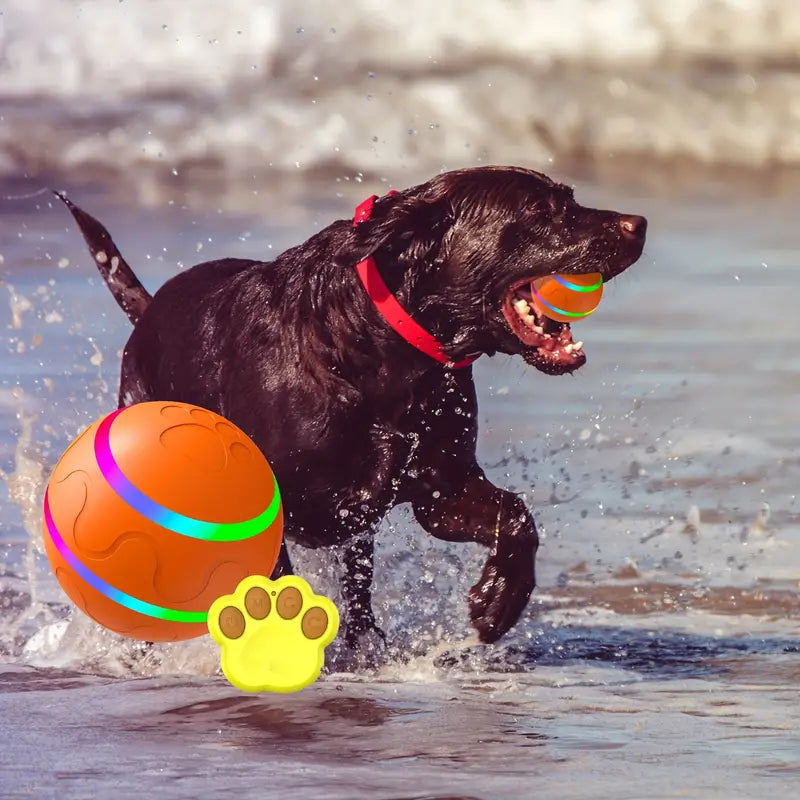 "Interactive ball toy for dogs and cats with bright colors, automatic rolling, keeping pets active and entertained."