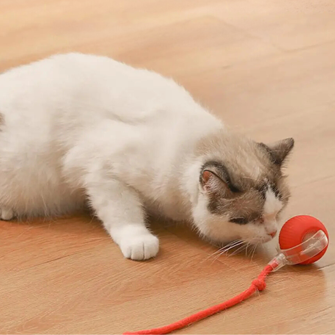 "Interactive cat toy, rolling ball with plush tail, vibrant color options for engaging feline play and exercise."