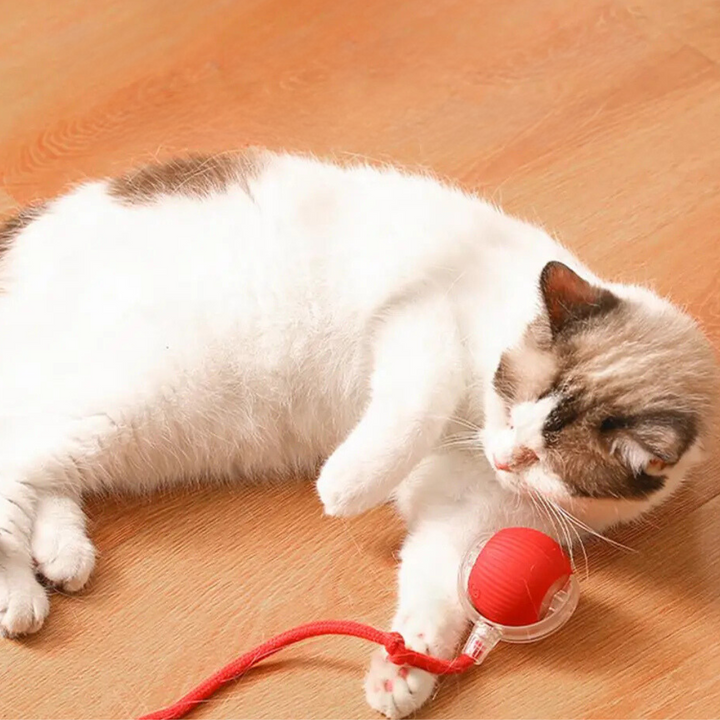 "Interactive cat toy, rolling ball with plush tail, vibrant color options for engaging feline play and exercise."