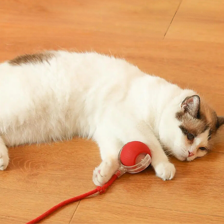 "Interactive cat toy, rolling ball with plush tail, vibrant color options for engaging feline play and exercise."
