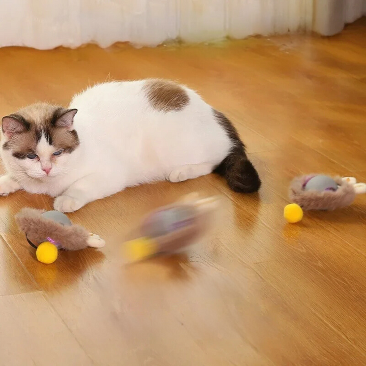 "Interactive cat toy, rolling ball with plush tail, vibrant color options for engaging feline play and exercise."