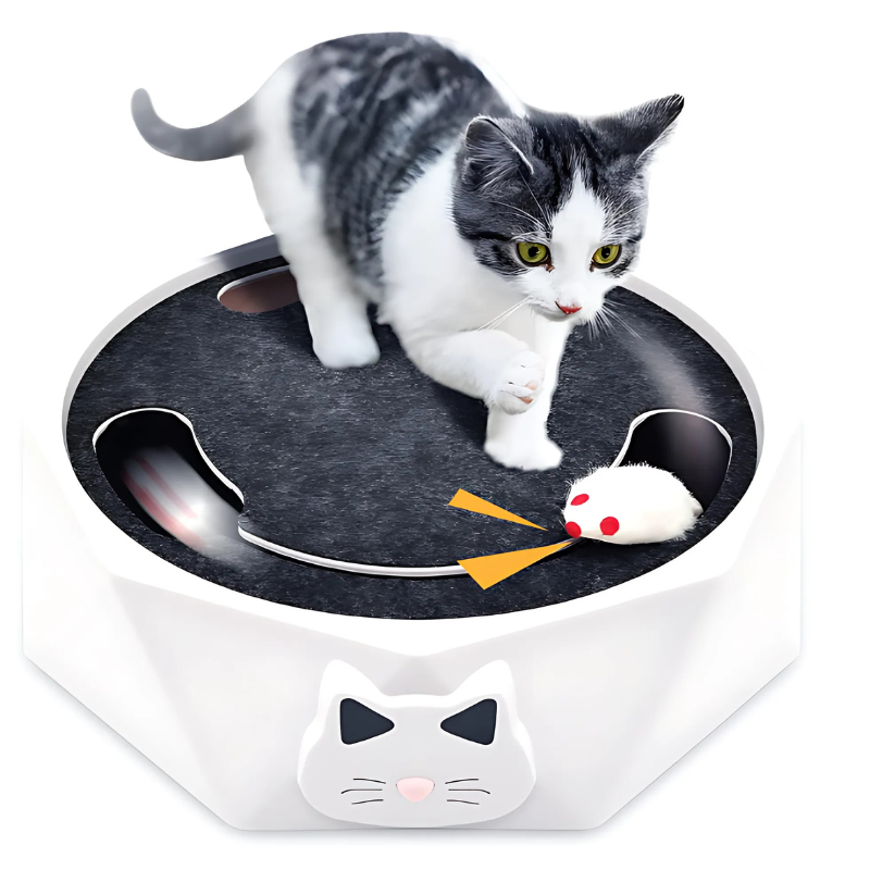 "Interactive cat toy with scratch pad, cozy lounge, and moving mouse for play. Durable, non-slip base ensures stability."