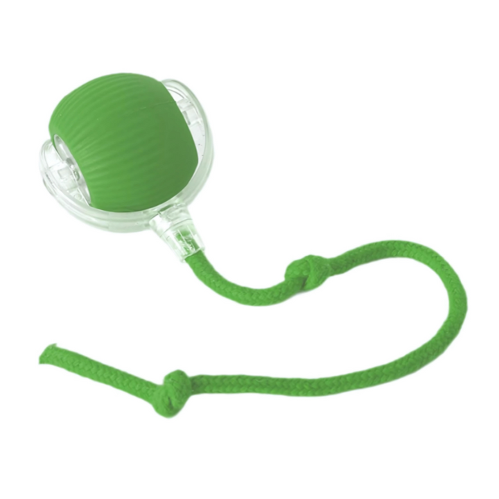 "Interactive cat toy with smooth curves, bright primary colors, USB-C port for charging, enhancing indoor cat play."