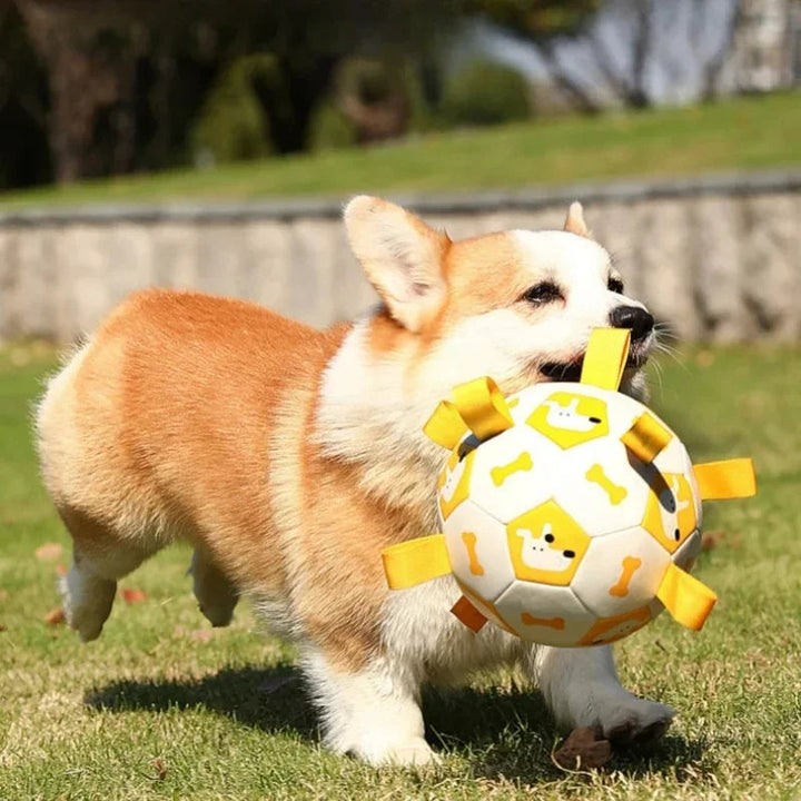 "Interactive dog ball toy with colorful pull ropes for active playtime, ideal for fetch, tug-of-war, and chewing fun."