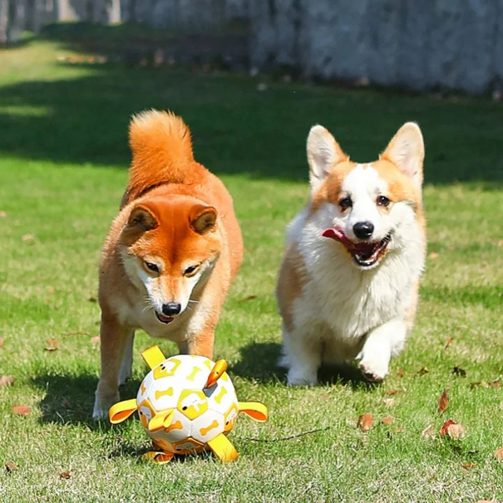 "Interactive dog ball toy with colorful pull ropes for active playtime, ideal for fetch, tug-of-war, and chewing fun."