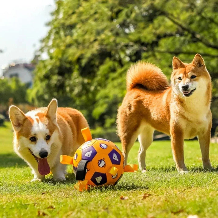 "Interactive dog ball toy with colorful pull ropes for active playtime, ideal for fetch, tug-of-war, and chewing fun."