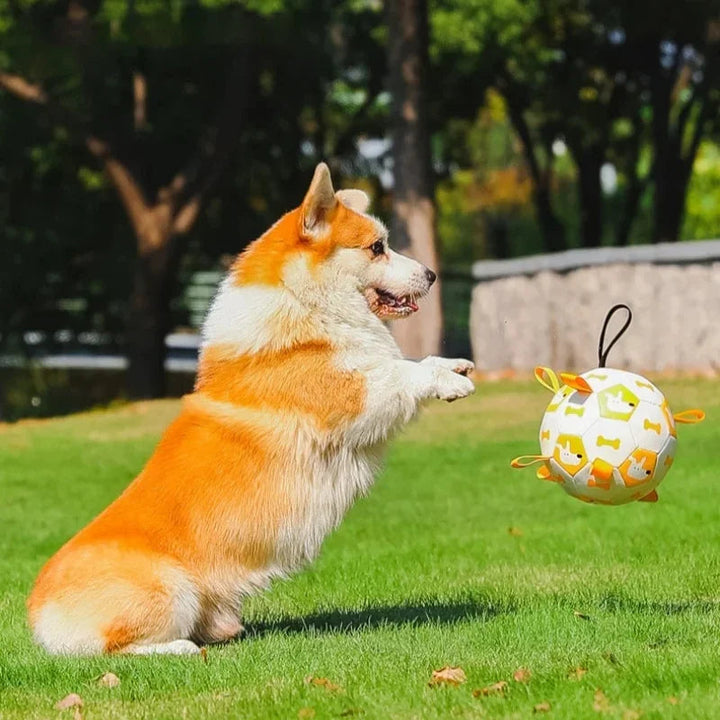 "Interactive dog ball toy with colorful pull ropes for active playtime, ideal for fetch, tug-of-war, and chewing fun."