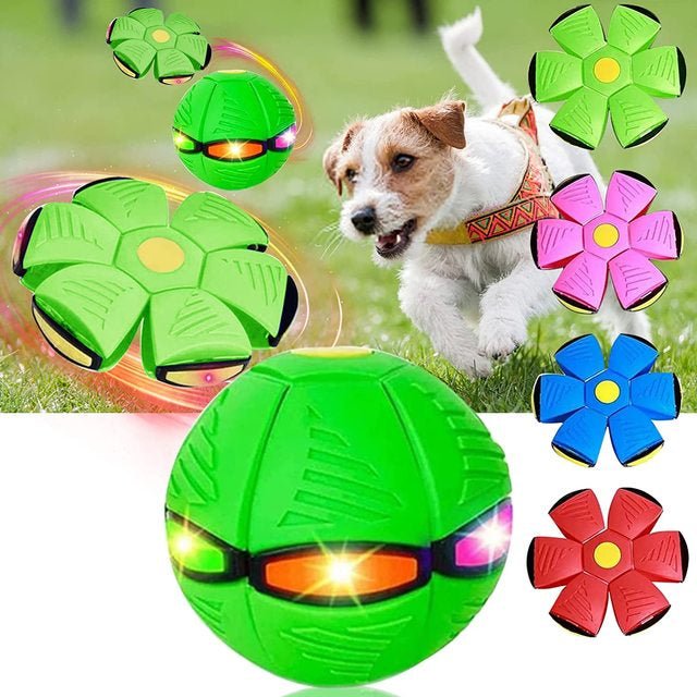 "Interactive dog frisbee ball toy in vibrant colors of blue, green, pink, and red, perfect for fun and engaging playtime."