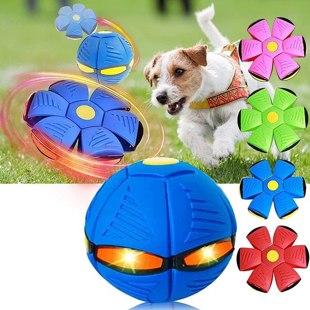"Interactive dog frisbee ball toy in vibrant colors of blue, green, pink, and red, perfect for fun and engaging playtime."