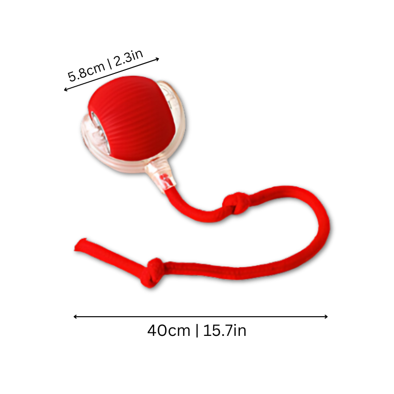 Interactive dog toy with USB-C charging, mimics critter movements, durable ABS. Available in red, grey, and green colors.