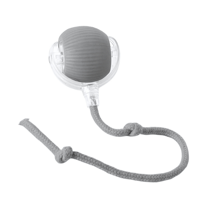 Interactive dog toy with USB-C charging, mimics critter movements, durable ABS. Available in red, grey, and green colors.