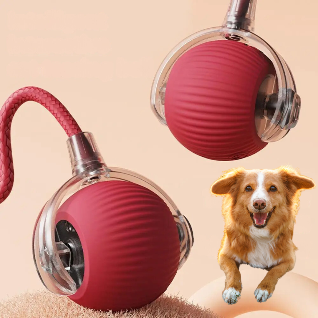 "Interactive plush dog toy with tail in vibrant colors for engaging play, mimicking real prey with tail movement."