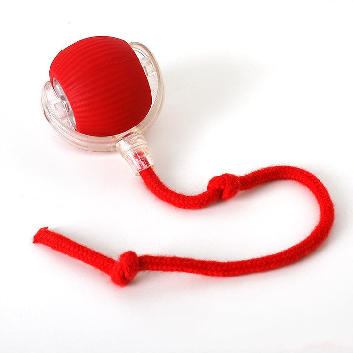 "Interactive plush dog toy with tail in vibrant colors for engaging play, mimicking real prey with tail movement."