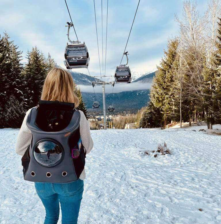 "Large cat travel backpack with bubble window, spacious with a panoramic view, mesh openings for comfort and security."
