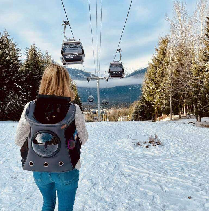 "Large cat travel backpack with bubble window, spacious with a panoramic view, mesh openings for comfort and security."