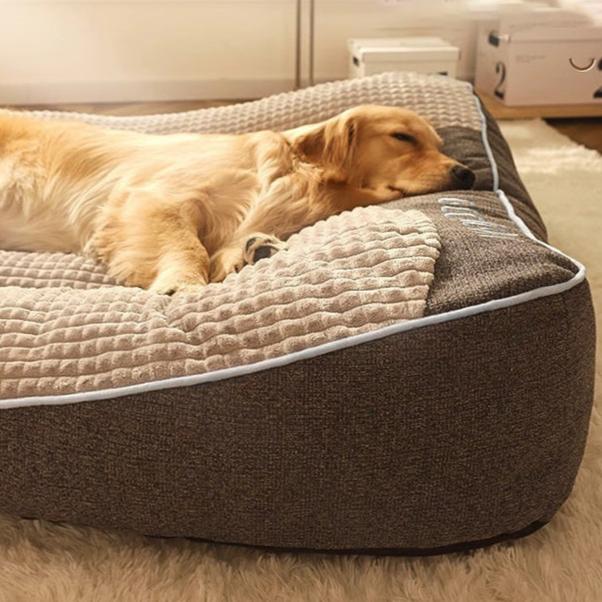"Large orthopaedic dog bed with thick cushion, ideal for big dogs, offering spine and joint support in durable fabric."