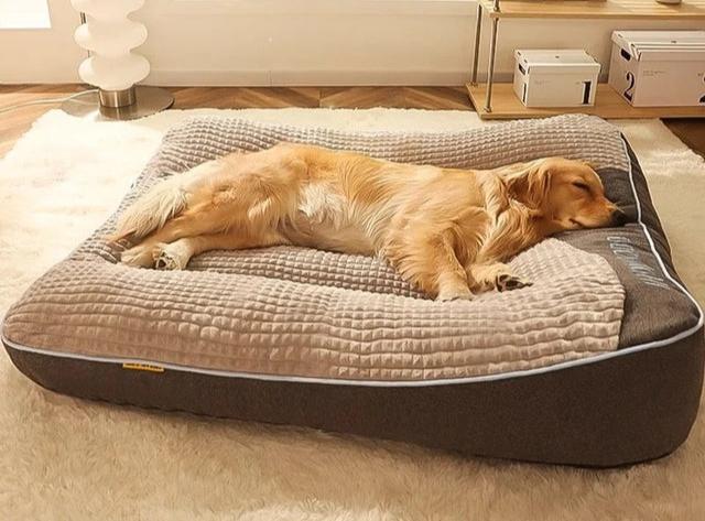 "Large orthopaedic dog bed with thick cushion, ideal for big dogs, offering spine and joint support in durable fabric."
