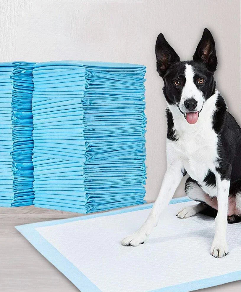 "Leak-proof potty training pads for dogs, featuring multi-layer design and non-slip bottom, shown on clean wooden floor."