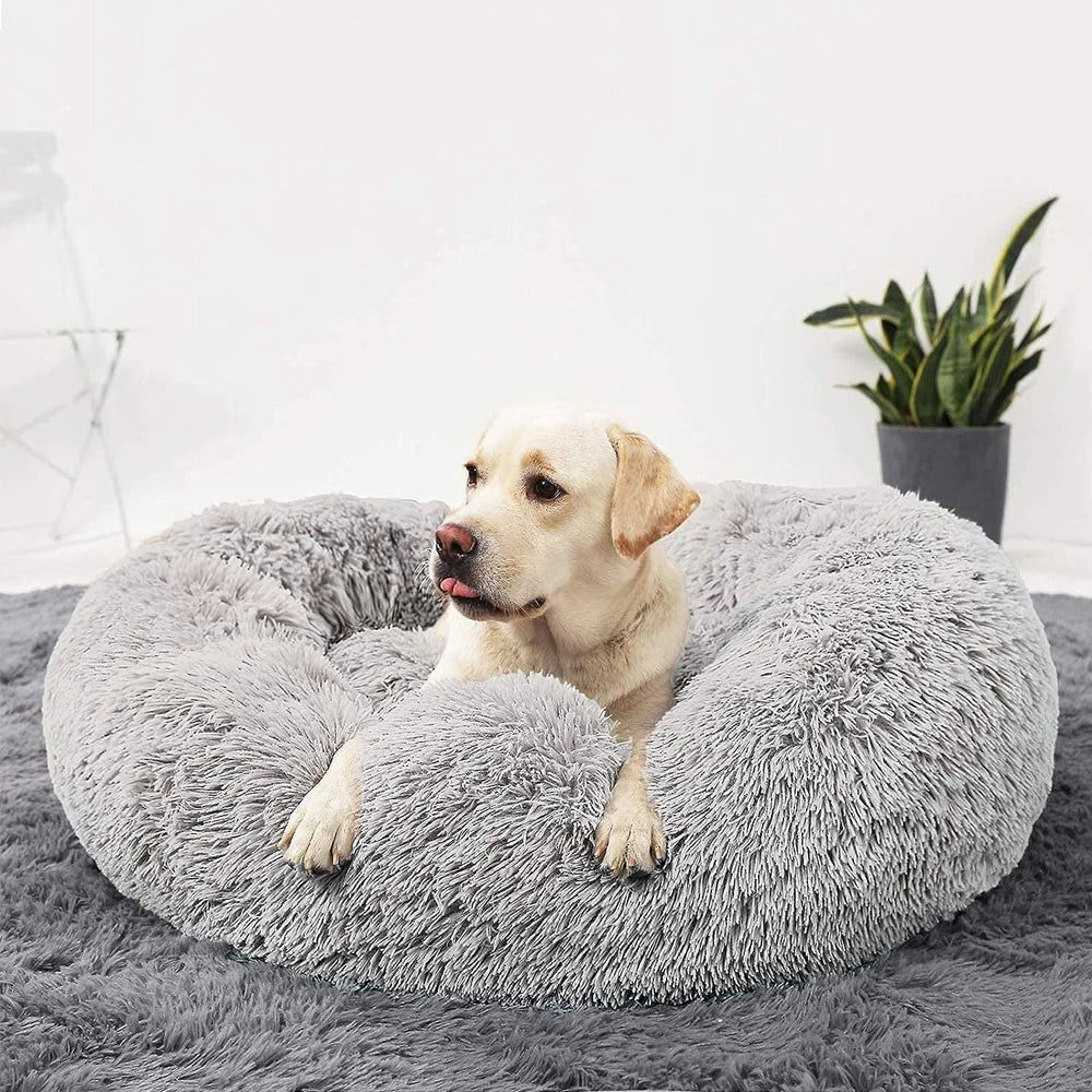 "Light grey premium dog bed offering comfort for pets, featuring plush design and elevated edges for head and neck support."
