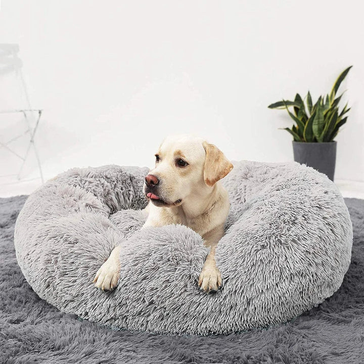 "Light grey premium dog bed offering comfort for pets, featuring plush design and elevated edges for head and neck support."