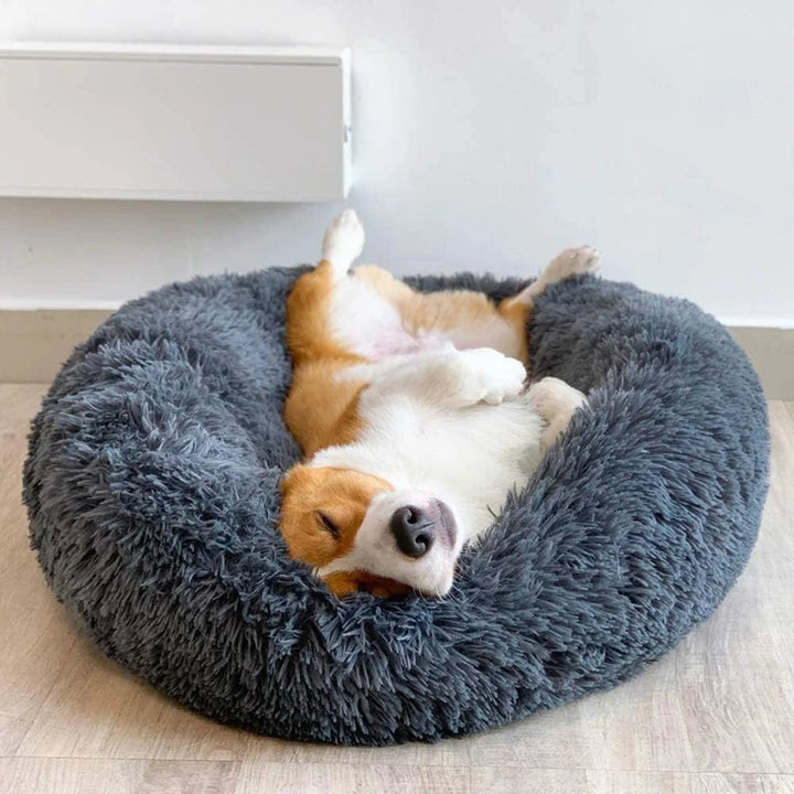 "Light grey premium dog bed offering comfort for pets, featuring plush design and elevated edges for head and neck support."