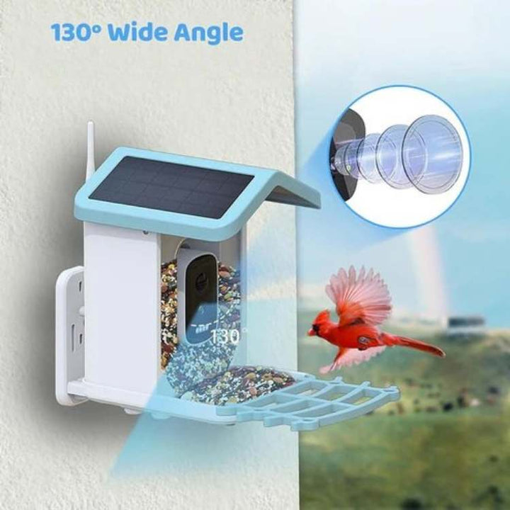 "Outdoor smart solar camera bird feeder with HD video, green roof, and transparent sides, showing bird feed inside."