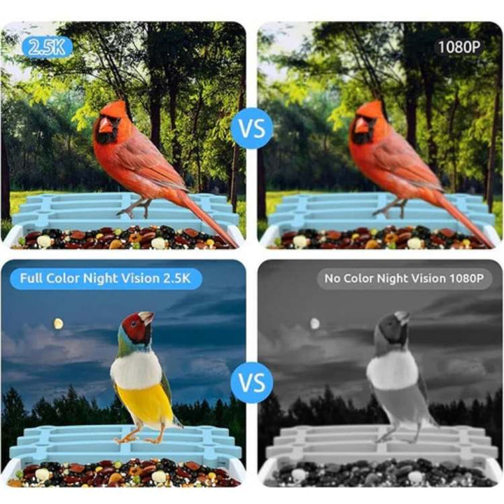 "Outdoor smart solar camera bird feeder with HD video, green roof, and transparent sides, showing bird feed inside."