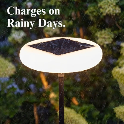 Outdoor solar floor lamp with metal and acrylic body, modern design, stands on patio illuminating with warm LED glow.