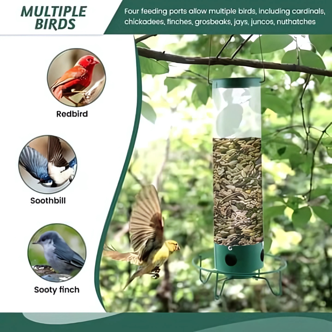 Outdoor squirrel-proof bird feeder with spinning perch, durable metal design, prevents squirrel access, large seed capacity.