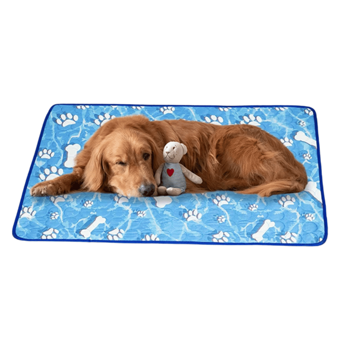 "Pale blue pet cooling mat on beige sofa provides comfort for dogs and cats during summer, featuring self-cooling ice silk fa