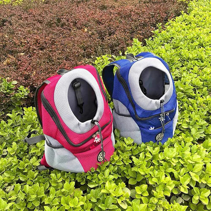 "Pet carrier backpack with safety straps, ergonomic design, breathable mesh, for dogs up to 15 kg, outdoor travel"