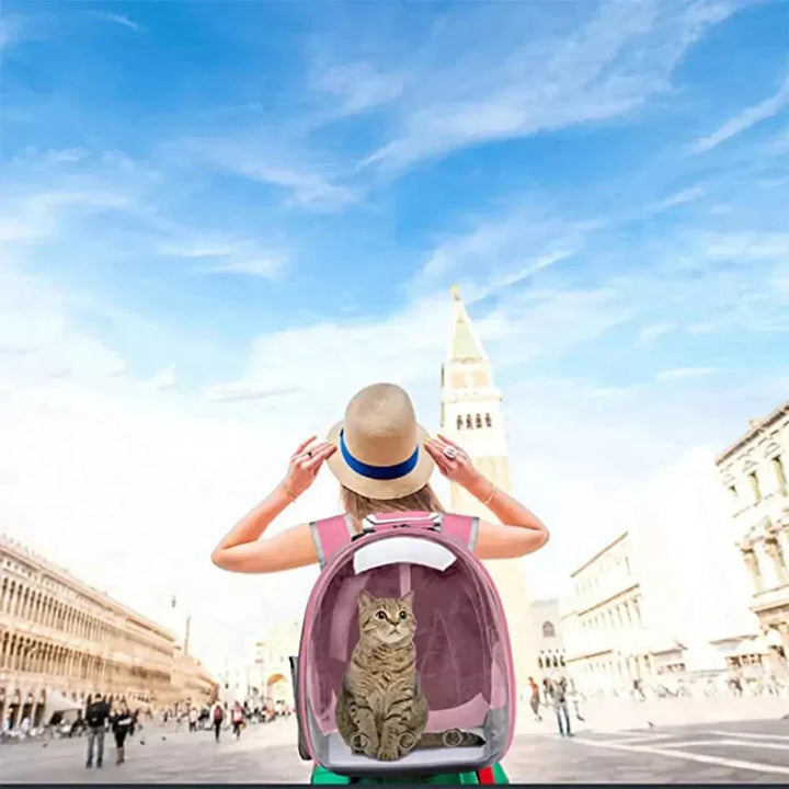 "Pet carrier with 360° view, transparent front, mesh windows, ergonomic straps; gray, green, pink, black options."