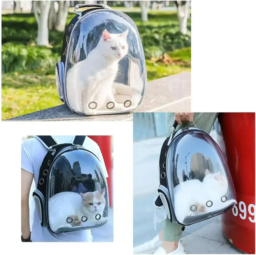 "Pet carrier with 360° view, transparent front, mesh windows, ergonomic straps; gray, green, pink, black options."