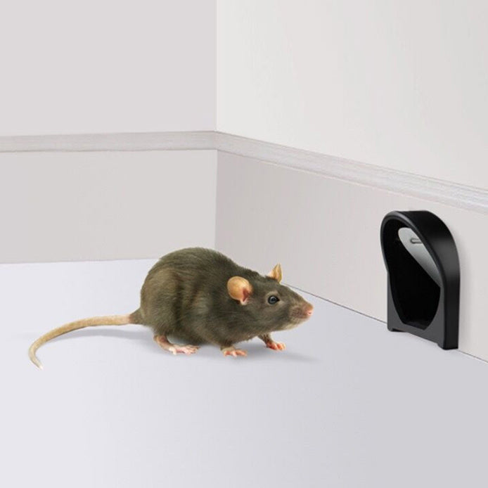 "Plastic rat trap cage with bionic design, sleek black finish, humane no-kill, efficient pest control, easy to use and clean.