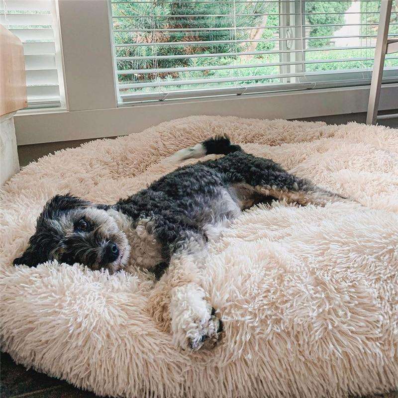 "Plush apricot donut dog bed, anxiety-relieving, round with raised rim, faux fur, for dogs to curl up comfortably."