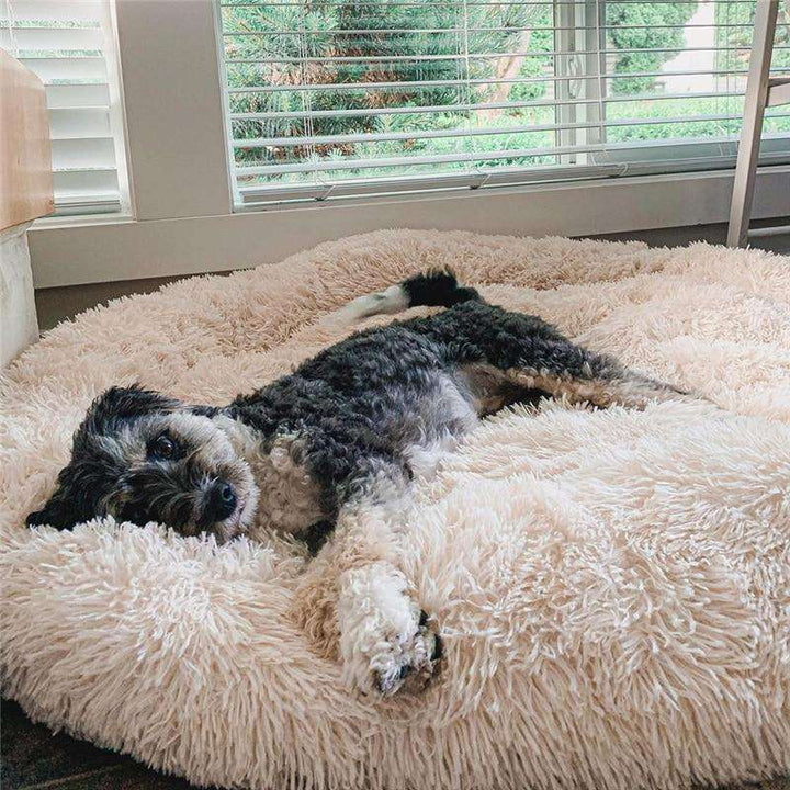 "Plush apricot donut dog bed, anxiety-relieving, round with raised rim, faux fur, for dogs to curl up comfortably."