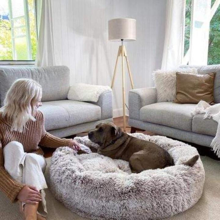 "Plush apricot donut dog bed, anxiety-relieving, round with raised rim, faux fur, for dogs to curl up comfortably."