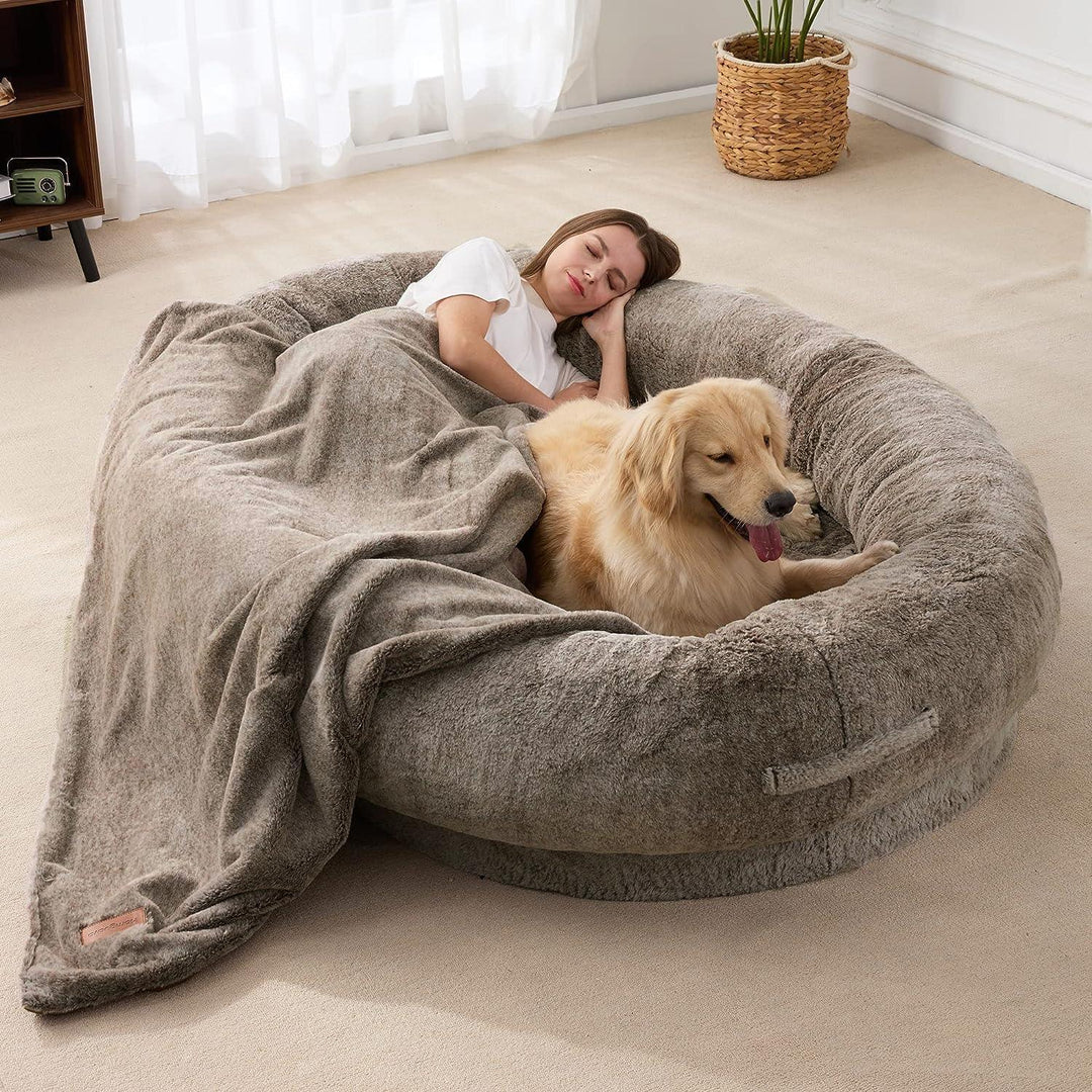 "Plush oversized lounger for pets and owners, featuring gray memory foam and plush bolsters for ultimate comfort and style."