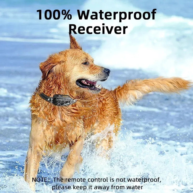 "Rechargeable waterproof dog training collar with remote, adjustable for all sizes, features sound, vibration, shock modes."