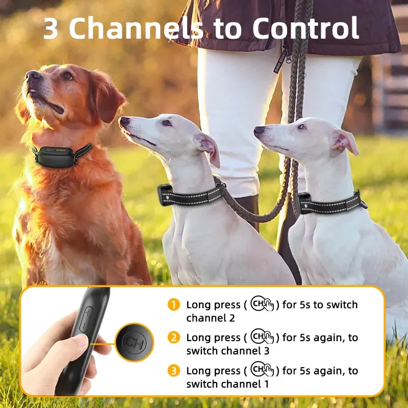 "Rechargeable waterproof dog training collar with remote, adjustable for all sizes, features sound, vibration, shock modes."