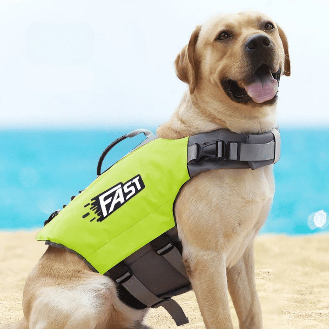 Reflective adjustable dog life jacket with buoyant support, high visibility colors, and emergency handle for water safety.