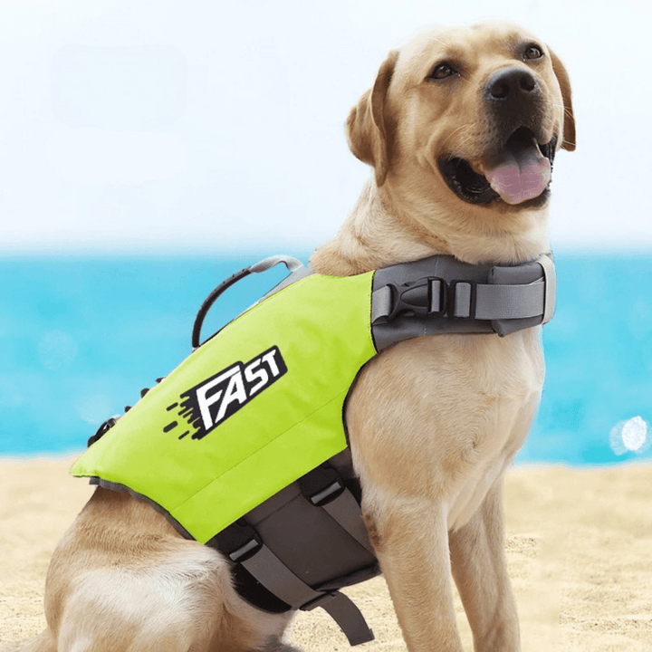 Reflective adjustable dog life jacket with buoyant support, high visibility colors, and emergency handle for water safety.