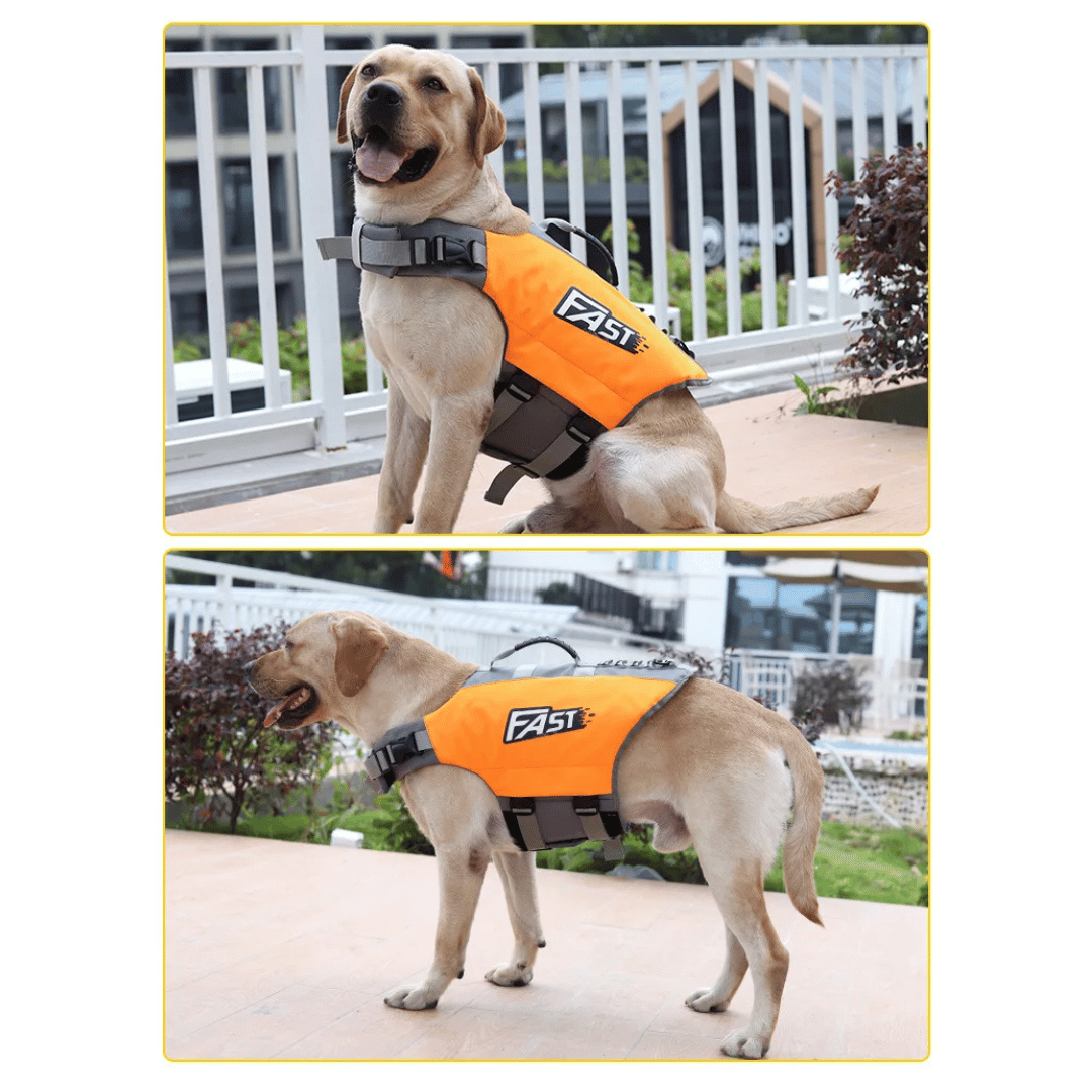 Reflective adjustable dog life jacket with buoyant support, high visibility colors, and emergency handle for water safety.
