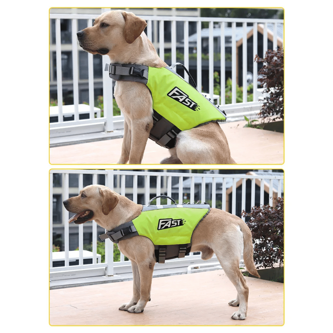Reflective adjustable dog life jacket with buoyant support, high visibility colors, and emergency handle for water safety.