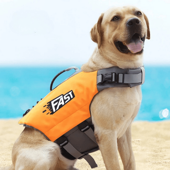 Reflective adjustable dog life jacket with buoyant support, high visibility colors, and emergency handle for water safety.