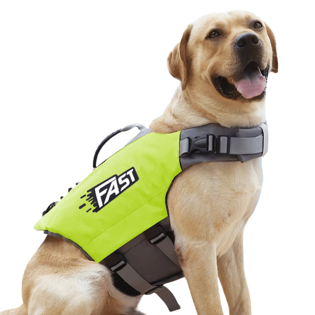 Reflective adjustable dog life jacket with buoyant support, high visibility colors, and emergency handle for water safety.