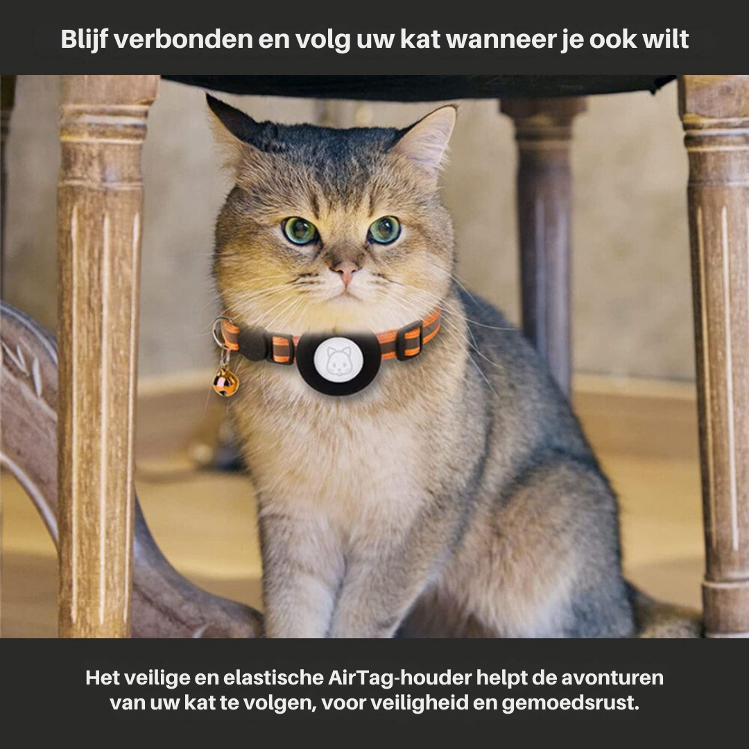 Reflective cat GPS tracker collar with quick release and durable nylon, designed for safety and night visibility.