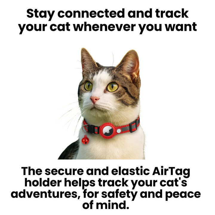 "Reflective cat GPS tracker collar with quick release, enhances safety and visibility for your pet's outdoor adventures."
