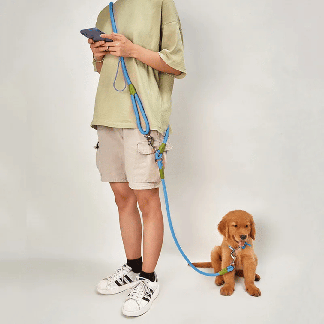 Reflective hands-free dog leash with bungee rope for running, ideal for large dogs; shown wrapped around waist.